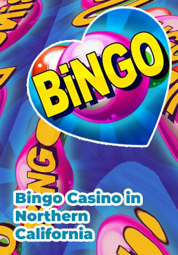 Bingo casino